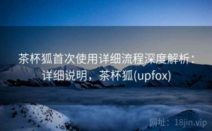 茶杯狐首次使用详细流程深度解析：详细说明，茶杯狐(upfox)
