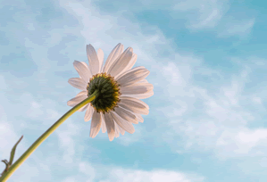 可可影视app新手入门清单（最新版汇总），可可看电影